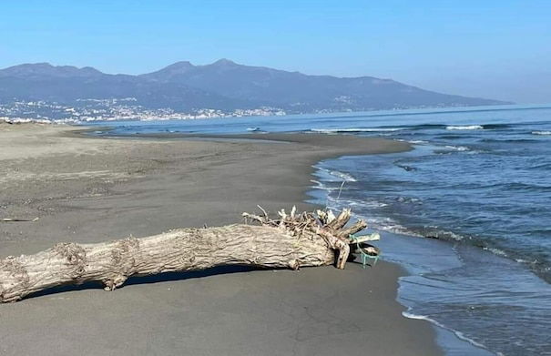 appartement lido de la marana - Foto 18