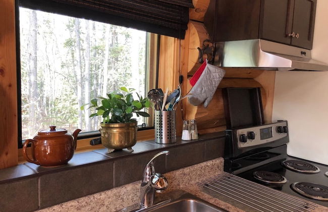 Yukon Pines - Photo 7