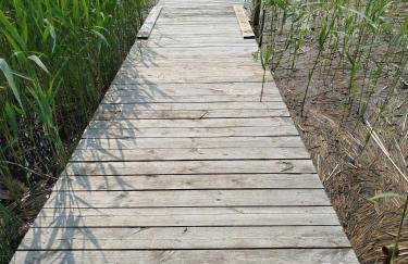 Domek ZOZO nad jeziorem w Okuniowcu - Foto 62