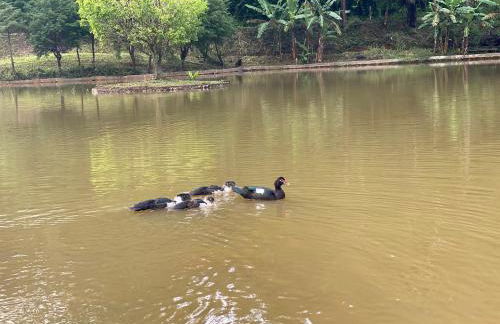 Hotel Fazenda Bonanza - Foto 54