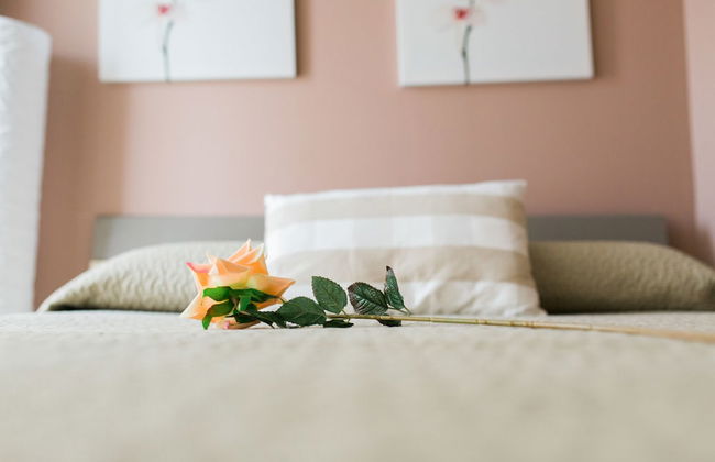 Estudios Sierra de Francia - Foto 7