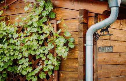 KASTANIENHOF im Spreewald - Foto 10