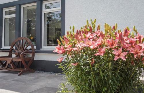 Squirrel Cottage - Foto 32