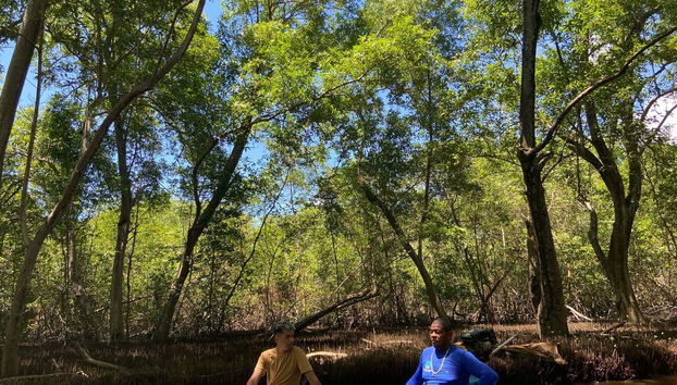 Tour por Pontal da Barra + Lagos Mundaú y Manguaba - Foto 5, Paseo en barca