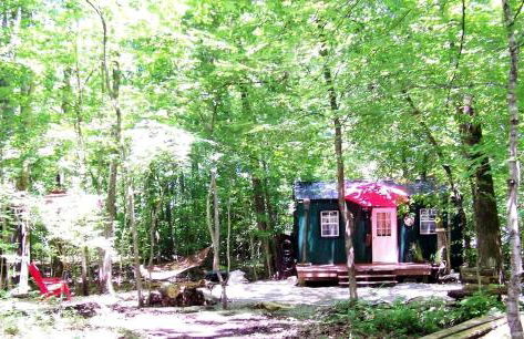 Secluded Watertree Tiny House near Old Hickory Lake – Private Deck, Trails & Breakfast - Foto 41