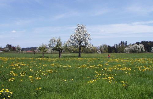 Baumanns Ferienhof Am See - Foto 46