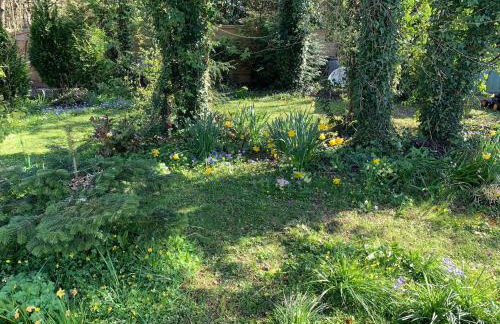 Castle View Annex - Photo 13