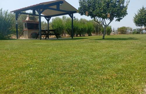 Armonia House - Foto 22