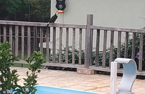 Vale do sol - Foto 13