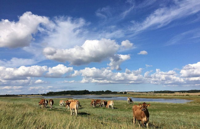 Beachfront Family Retreat - By Traum Ferienwohnungen - Foto 6