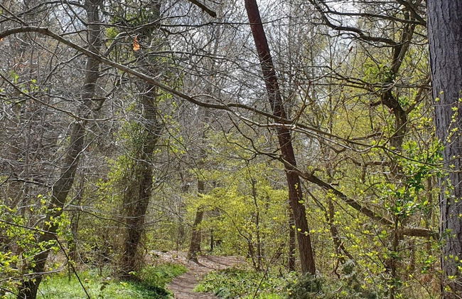 Rustic Holiday Home in Asnæs near Sea - Foto 9