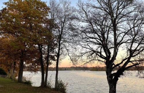 FÜNF ROSEN Boutique Apartment - Bio-Ferienwohnung am Staffelsee im Blauen Land - Foto 24