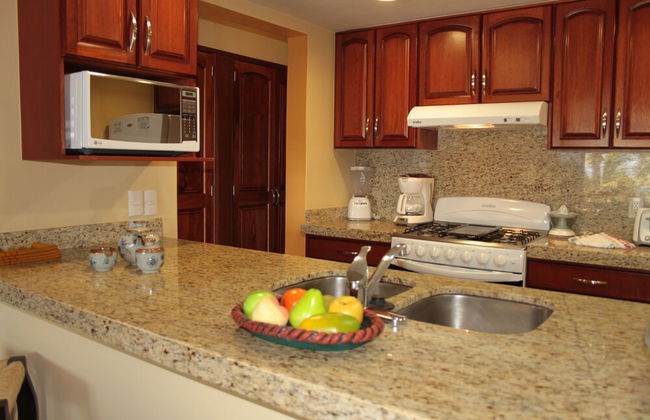 Torres Mazatlan - Foto 9