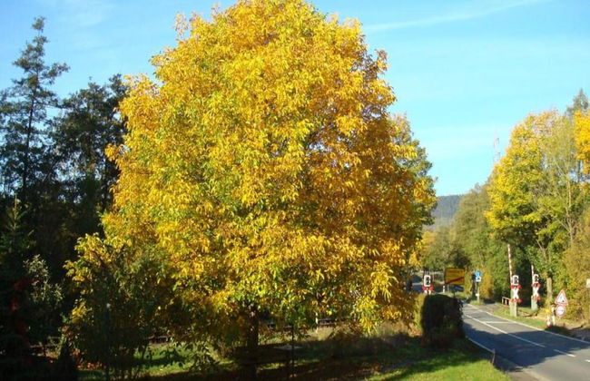 Wohnung im Teutoburger Wald Externsteine - Foto 37