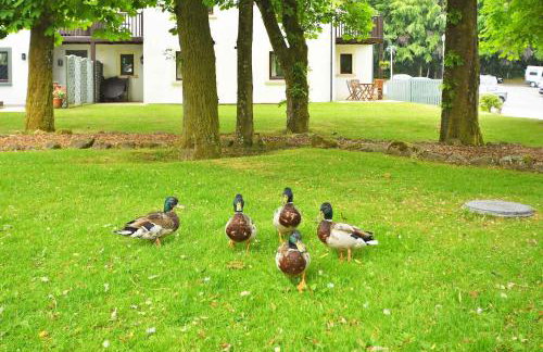 Fell View - Photo 32