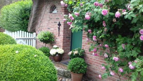 Das Rosenhaus - Foto 5