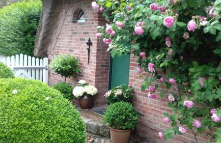 Das Rosenhaus - Photo 5