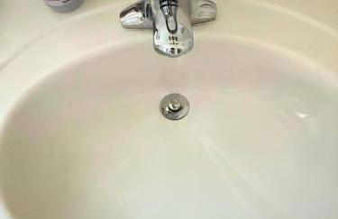 Central Berkeley Garden Oasis - Foto 69