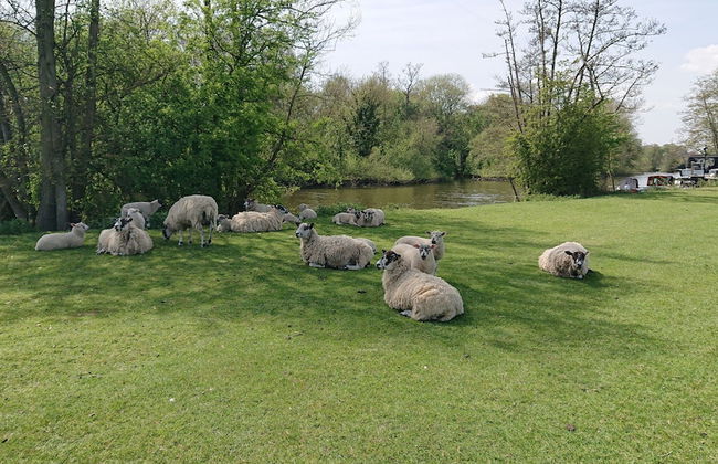 Charming 17th Century 2-bed Cottage in Medmenham - Foto 26