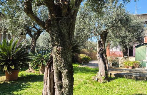 La Casa Del Giardino Degli Olivi - Foto 27