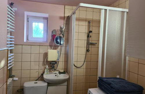 U Judyty na Ponidziu Gospodarstwo Agroturystyczne - Foto 7