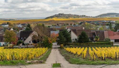 LE LOGIS ST PERE - Photo 4