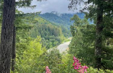 Avenue of the Giants River View Home (#1) - Foto 45