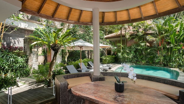 Teba Suci Suite - Foto 2, Recepción