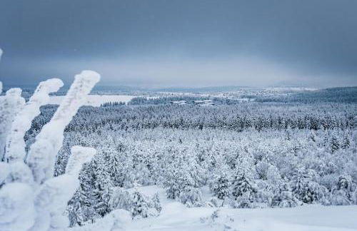 Chalet Zugspitze - Foto 37