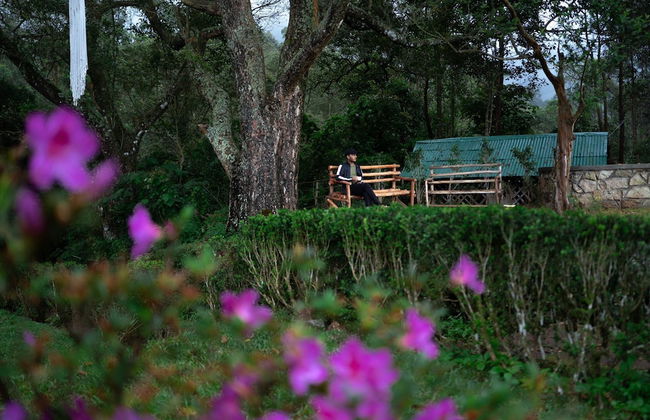 Tentgram Bungalow Suryanelli - Foto 15