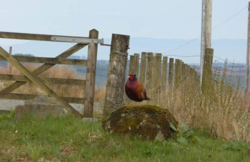 Blackside Cottage - A Luxury Rural Retreat - Foto 33