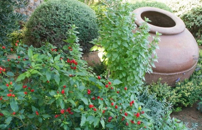 Hylatio Tourist Village - Foto 76