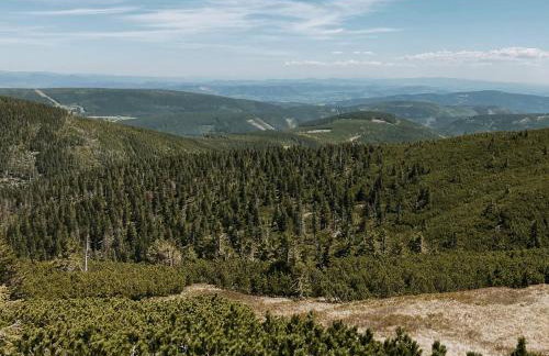 Wietorówka - Foto 31