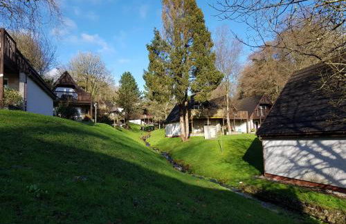 Valley Lodge 55 - Photo 2