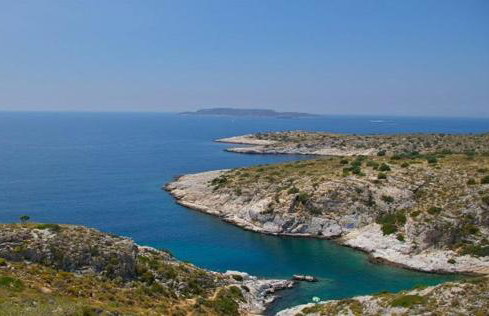 Amazing Garden House - Photo 50