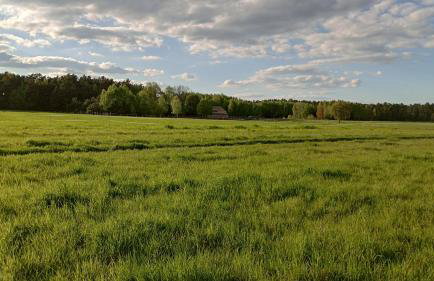 Kolorowe Wzgórze agroturystyka i konie - Foto 2