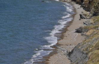 Le 246 - Duplex face à la mer pour 4 personnes, Wifi, TV full Sat, Parking - Foto 44