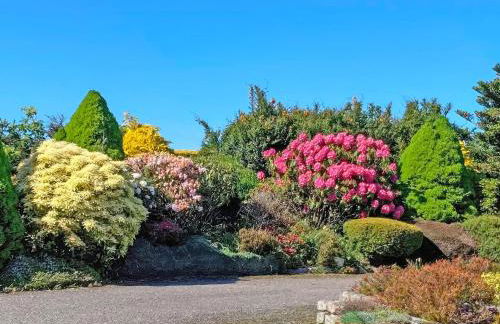 Sauchenshaw Cottage - Foto 6