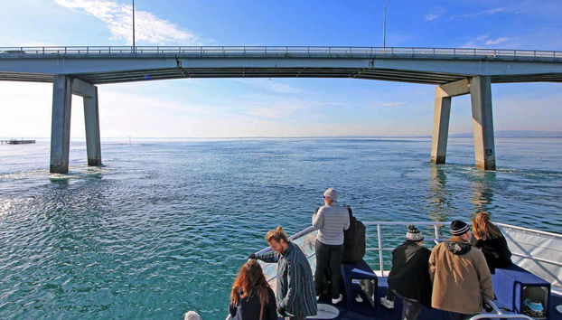 Phillip Island Cruise - Foto 4