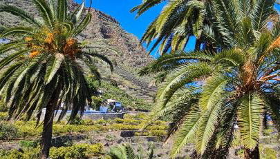 Casa Tajaraste - Foto 2