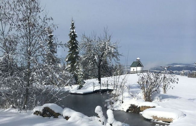 Apartment in the Waxenegg Country House - Photo 26