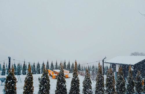 Bieszczadzkie Wzgórze Saunowe- Jacuzzi i Sauna w cenie pobytu - Foto 35