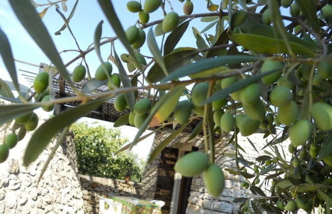 Agriturismo Specchiarussa - Foto 17