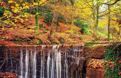 Luxury Village Cottage on doorstep of Alton Towers - Foto 7