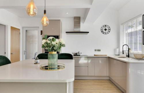 The Squirrels - Foto 17