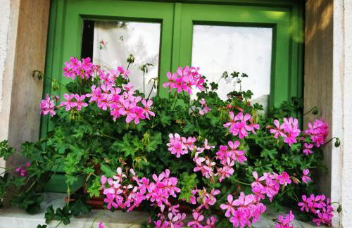 Podere Montecorno - Foto 55