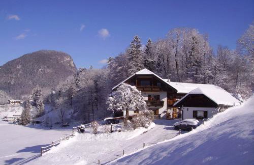 Ferienwohnungen Vogelrast - Foto 19