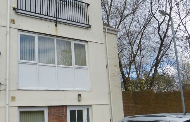 The Sawmills - Foto 29