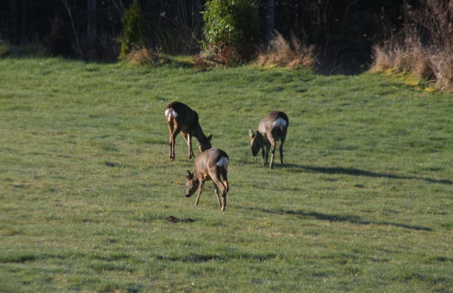 Torran View - Foto 31