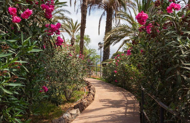 Club Hotel Marazul - Photo 62